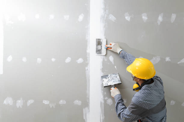 Reliable Pomona Park, FL Drywall & Painting Services Solutions